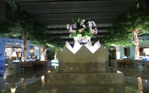 Novotel Dim Sum Review: Is It Worth the Price?