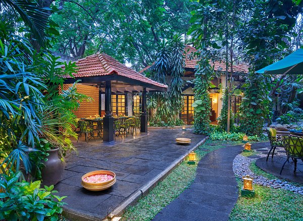 Gluten Free Food Bangalore Discover Top Spots, Explore the Best Options Now