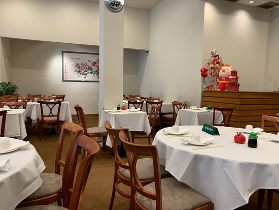 City View Dim Sum: Where to Find the Best Bites with a View?