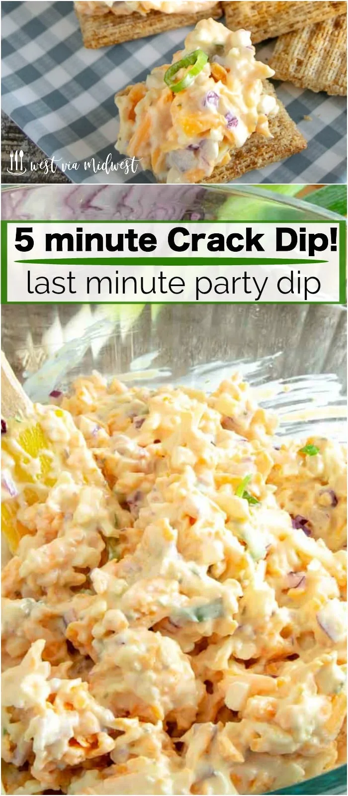 Quick and Easy Dips for Any Party (Simple Recipes)