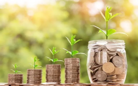 Unlock Your Earning Potential: Quick and Easy Money Making Ideas for Everyone