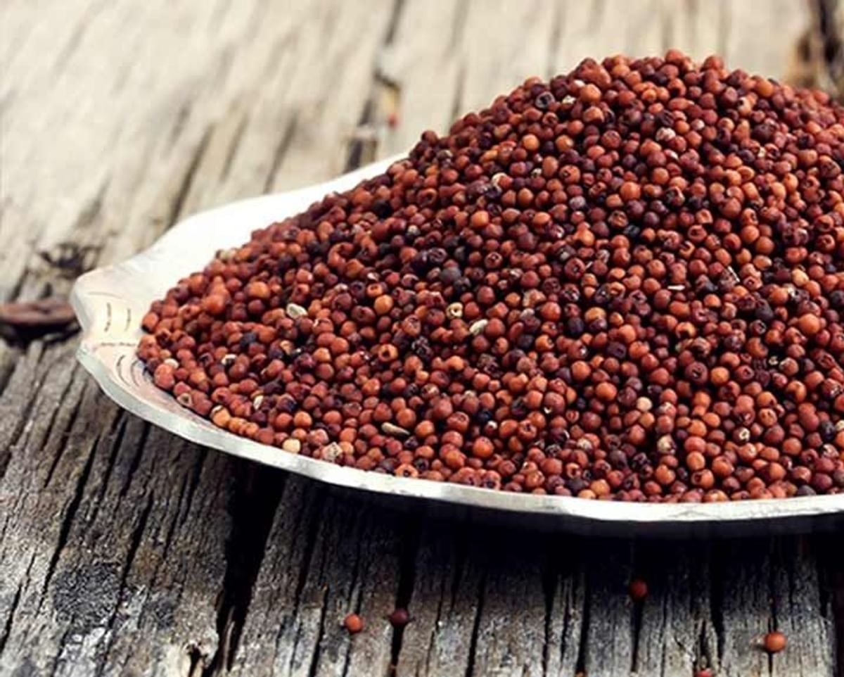 Ragi is Gluten Free or Not? Find Out if Its Right for You!