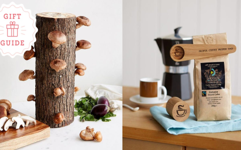 Spread your deep dim sum love: Great gift ideas for your foodie friends today.