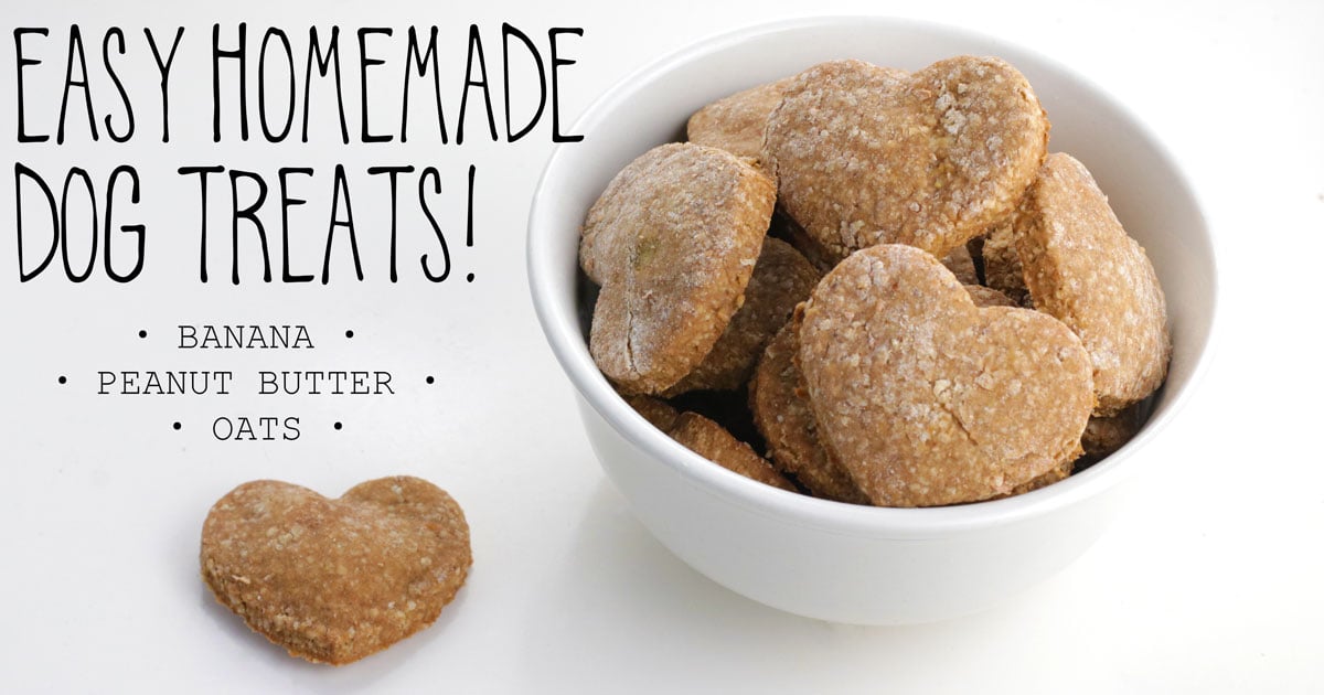 Making quick and easy dog treats at home (your pup will thank you for these yummy snacks).