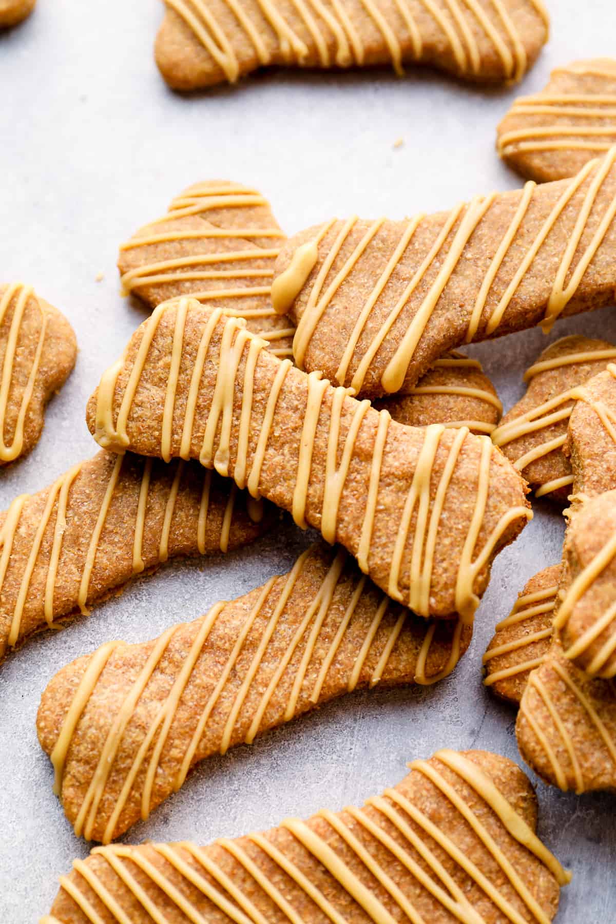 Looking for the best quick and easy dog biscuit recipes? (We have got you covered with these options)