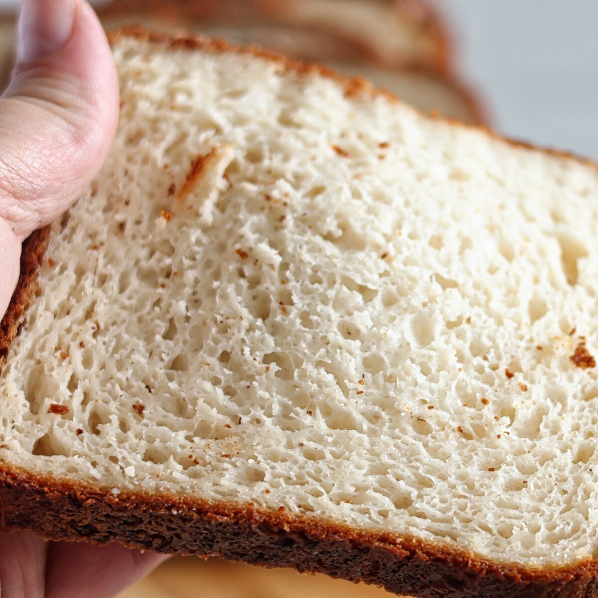 Looking for a simple gluten free sourdough sandwich bread recipe that everyone will love? This recipe is a guaranteed winner!