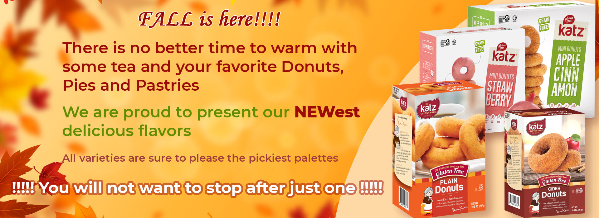 Easy Gluten Free Shop: Quick delivery, shop from home!