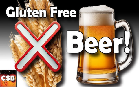 Is Drinking Modelo Gluten Free? A Guide for Beer Lovers
