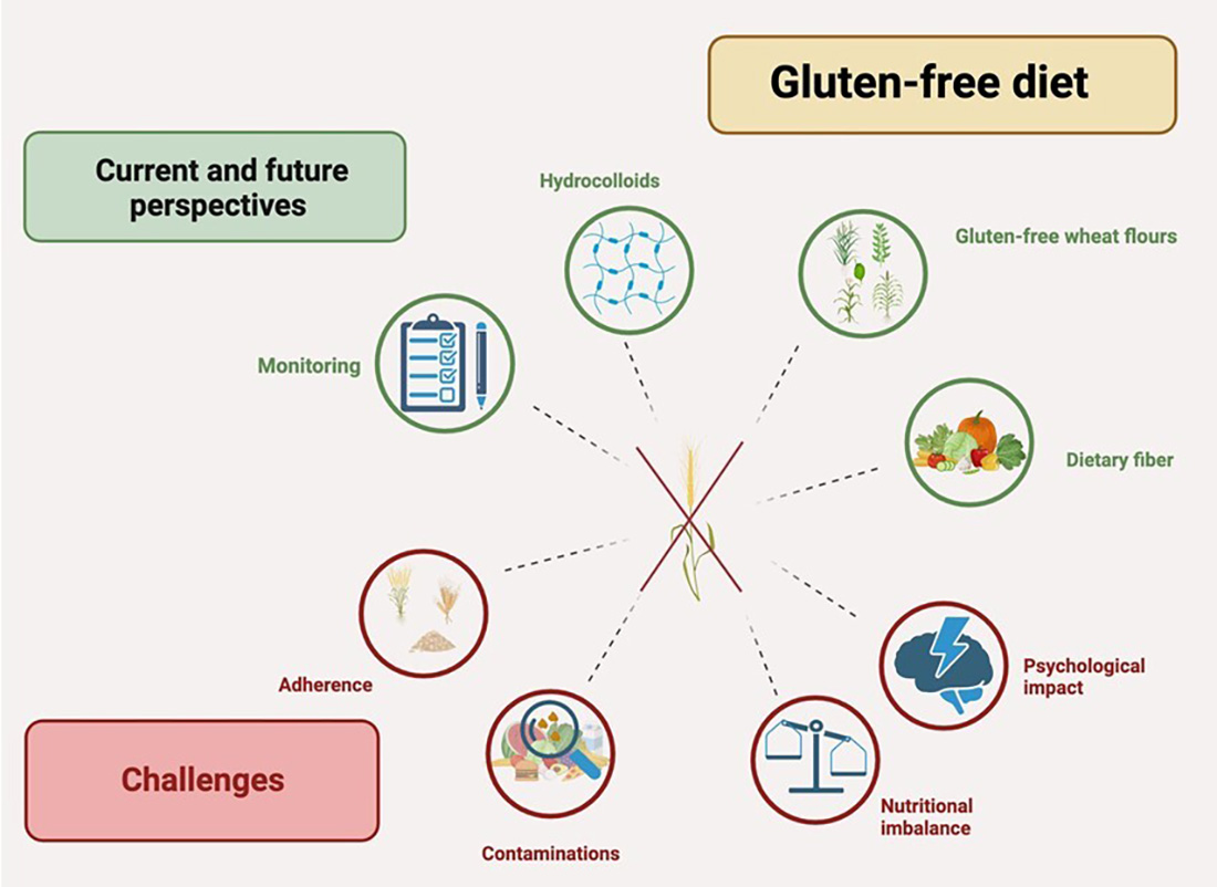 Why choose is organic gluten free food? Key health advantages explained clearly.