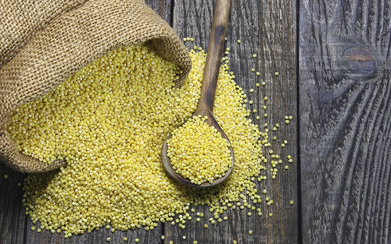 Millet Gluten Free or Not? Top 3 Things You Must Know!