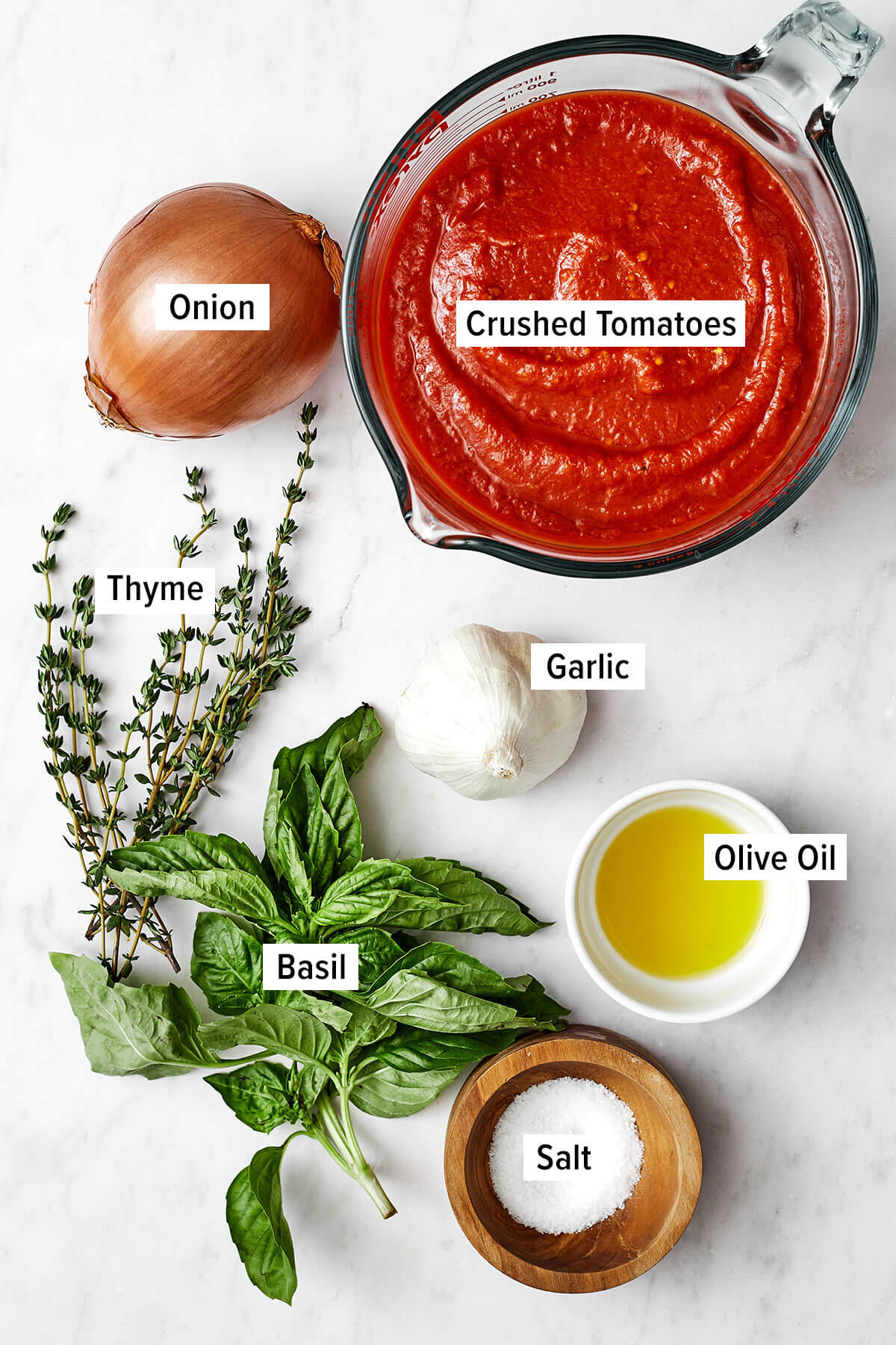 What you need for quick easy pasta sauce recipe (common ingredients guide inside)