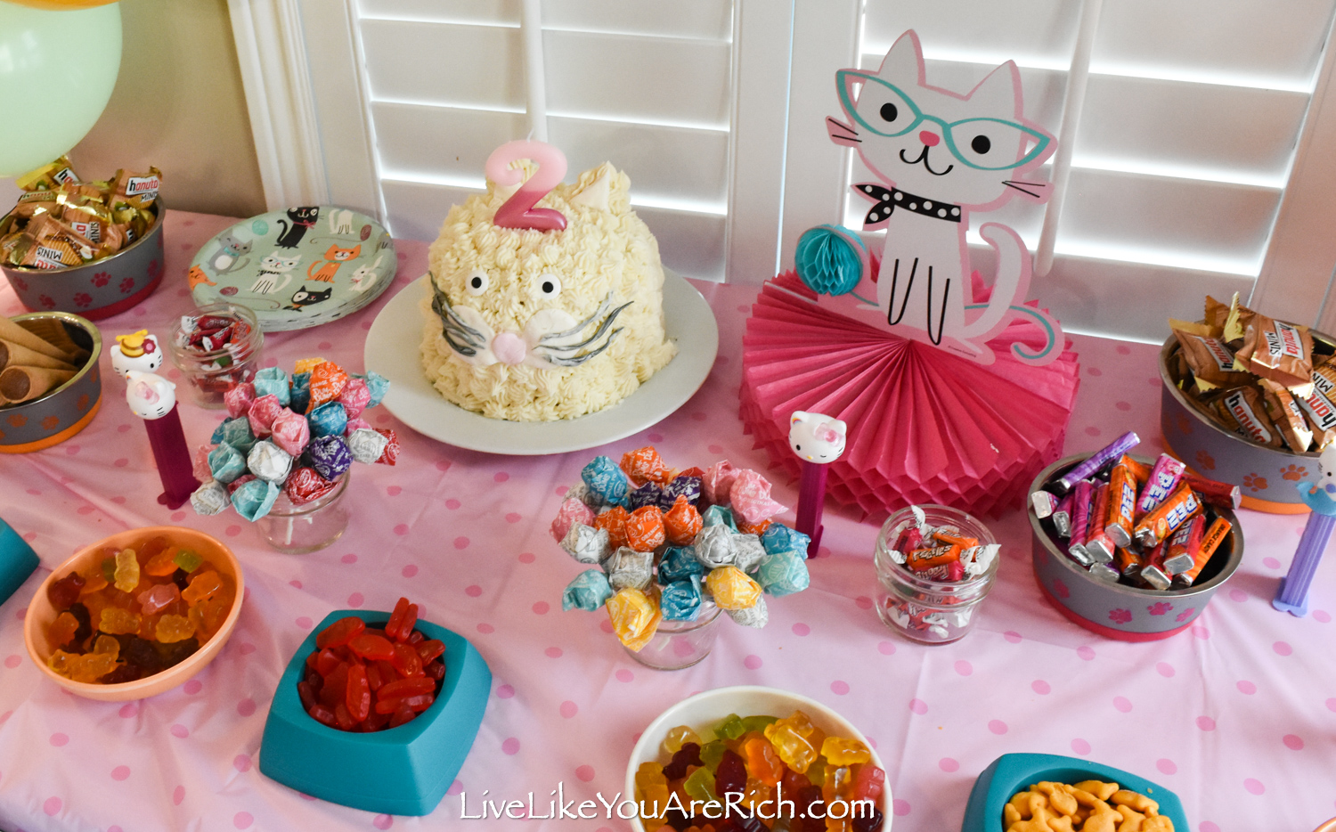 Easy Cat Party Food Ideas: Fun & Safe Snacks for Every Feline Guest