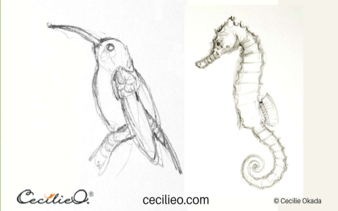 Why try quick easy sketches 3 big benefits of sketching regularly daily